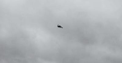 a bird flying through a cloudy gray sky