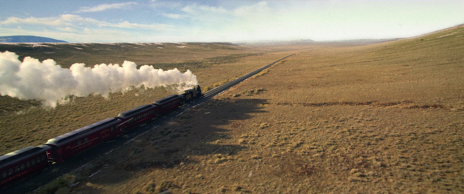 a train traveling through a lush green countryside