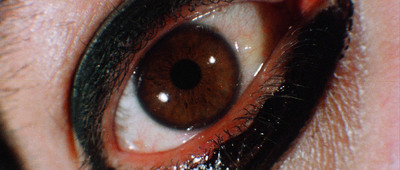 a close up of a person's brown eye