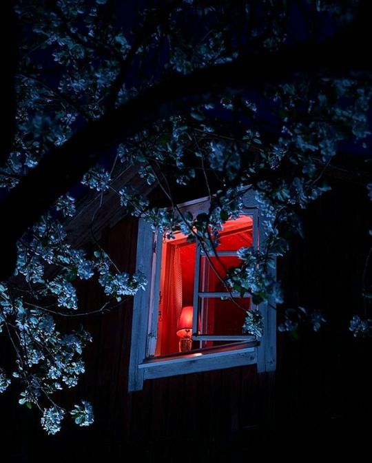 a window with a red light shining in it