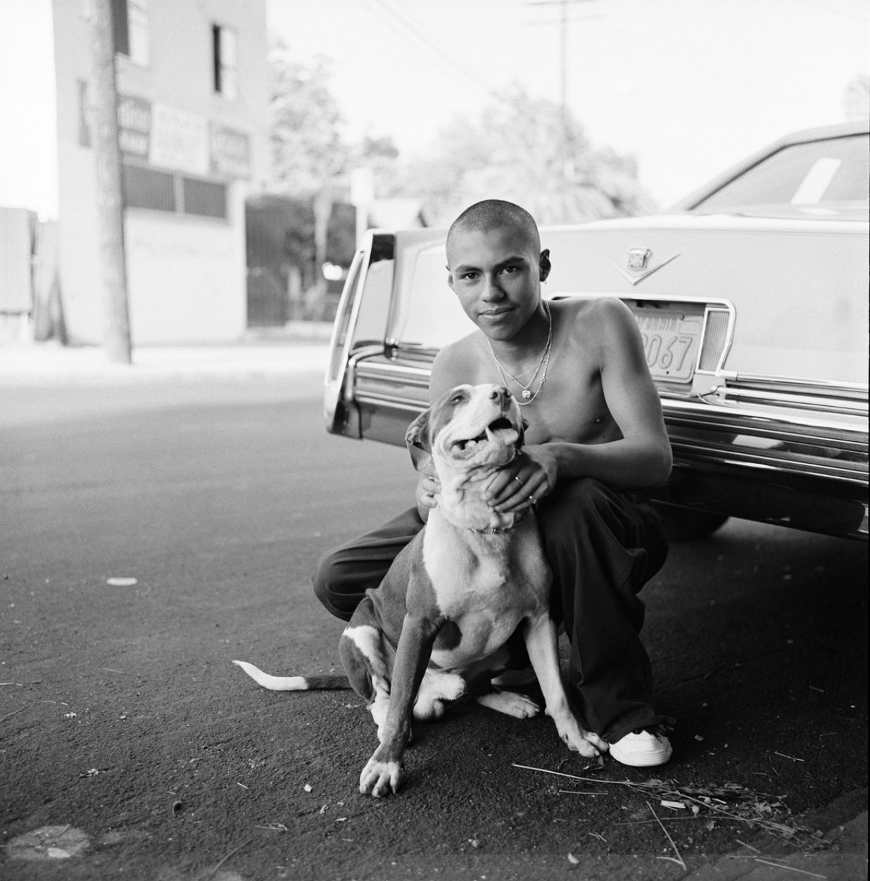 a man kneeling down next to a dog