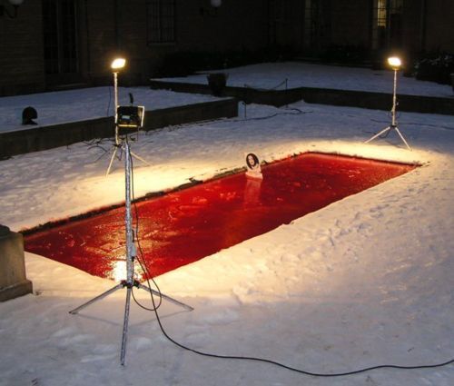 a red pool of blood sitting in the middle of a snow covered yard