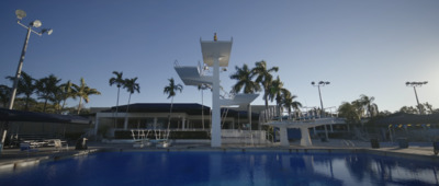 a large swimming pool surrounded by palm trees