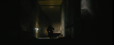 a person walking a dog down a dark alley way