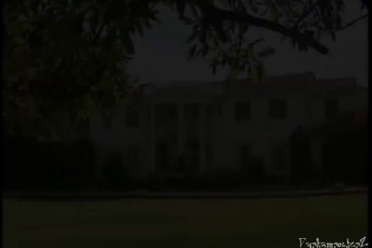 a large white building with a tree in front of it