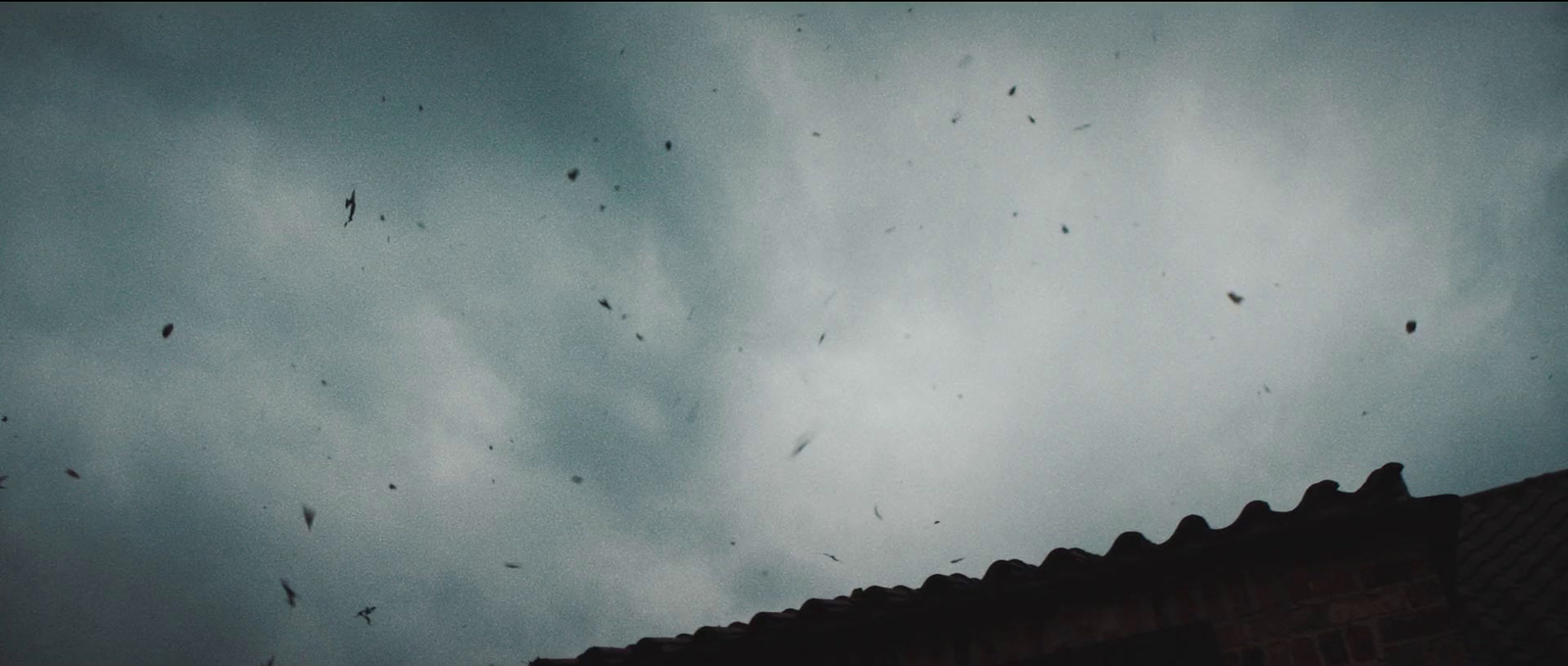 a group of birds flying through a cloudy sky