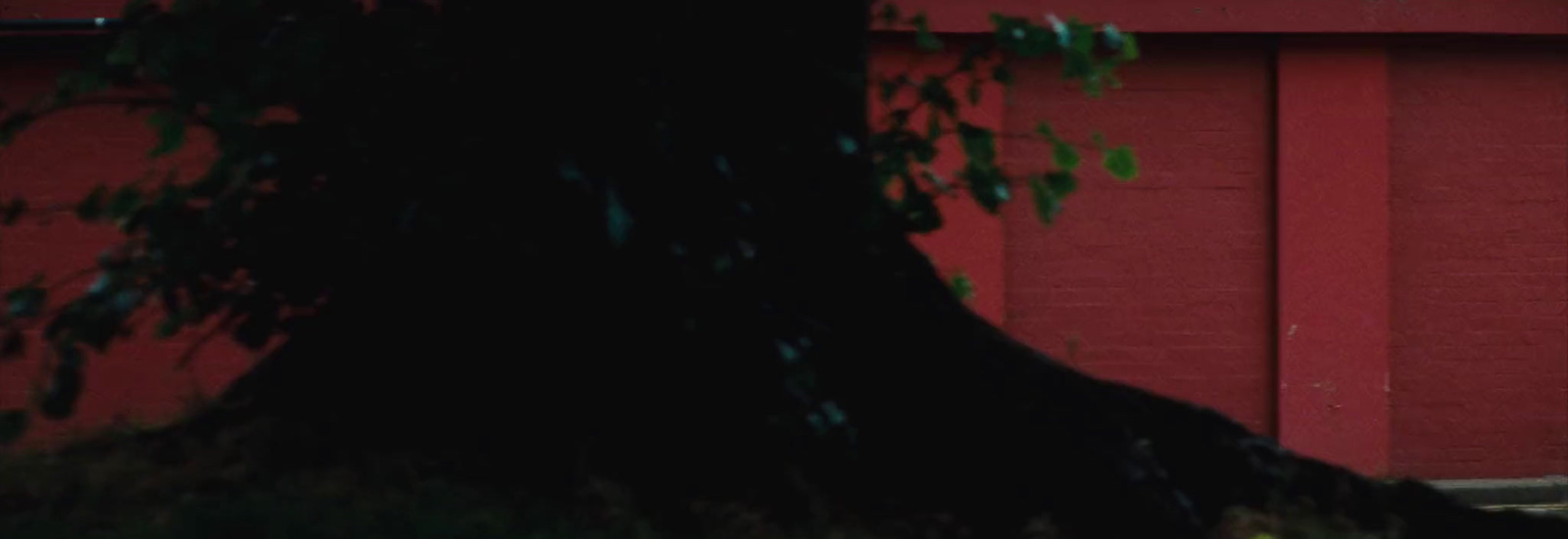 a man riding a skateboard down a street next to a tree