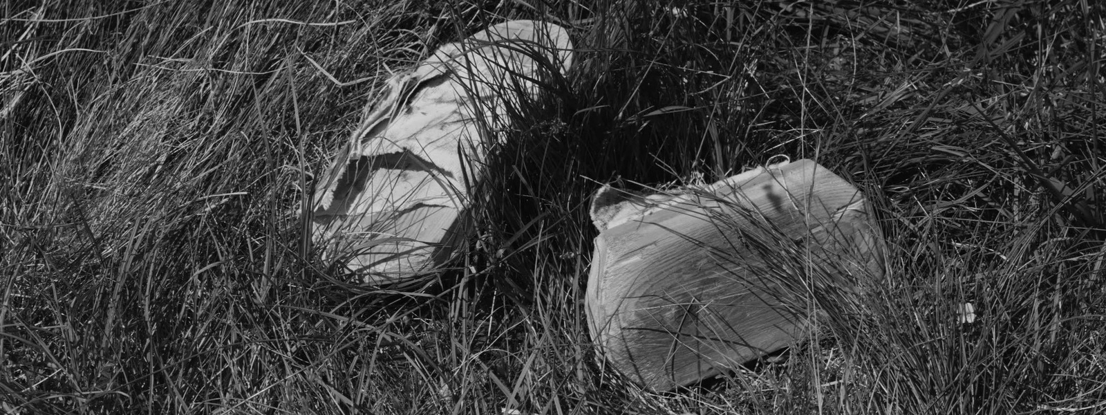 a pair of shoes that are in the grass