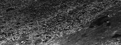 a black and white photo of rocks and grass