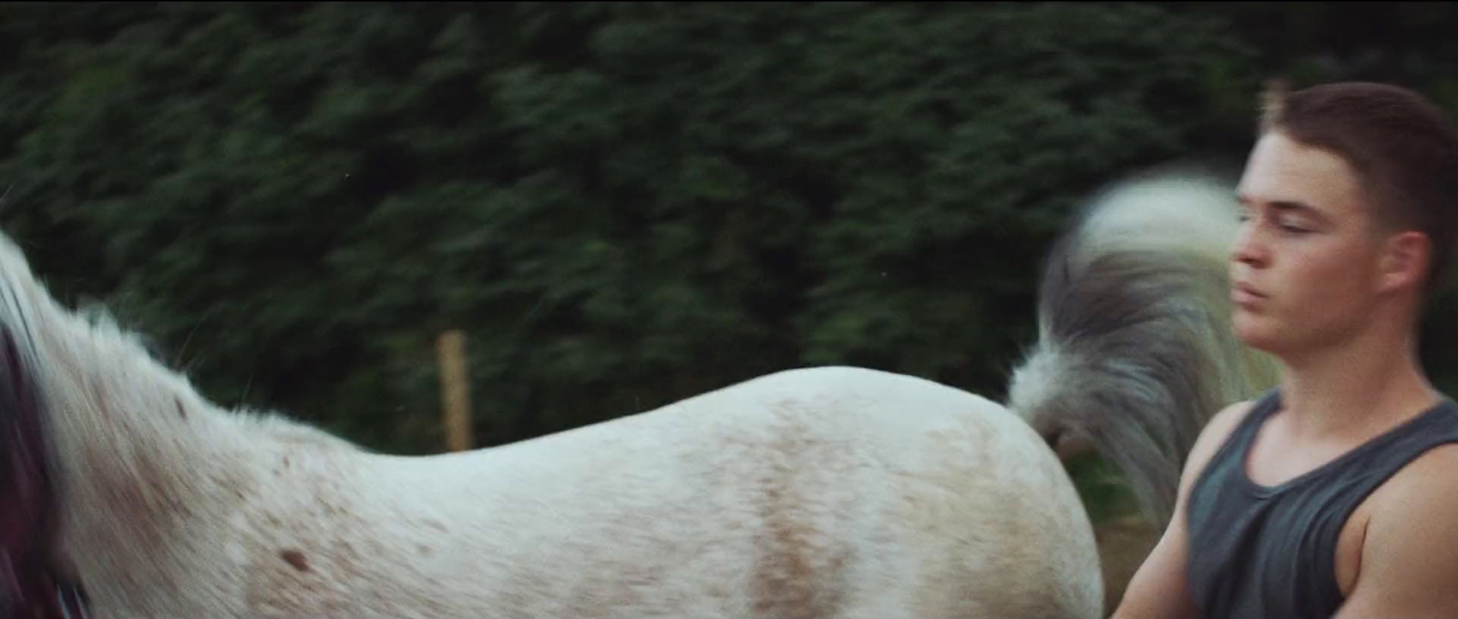 a man standing next to a white horse