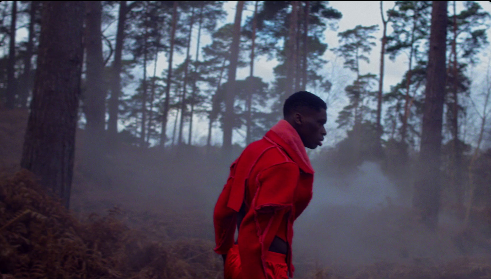 a man in a red jacket standing in a forest