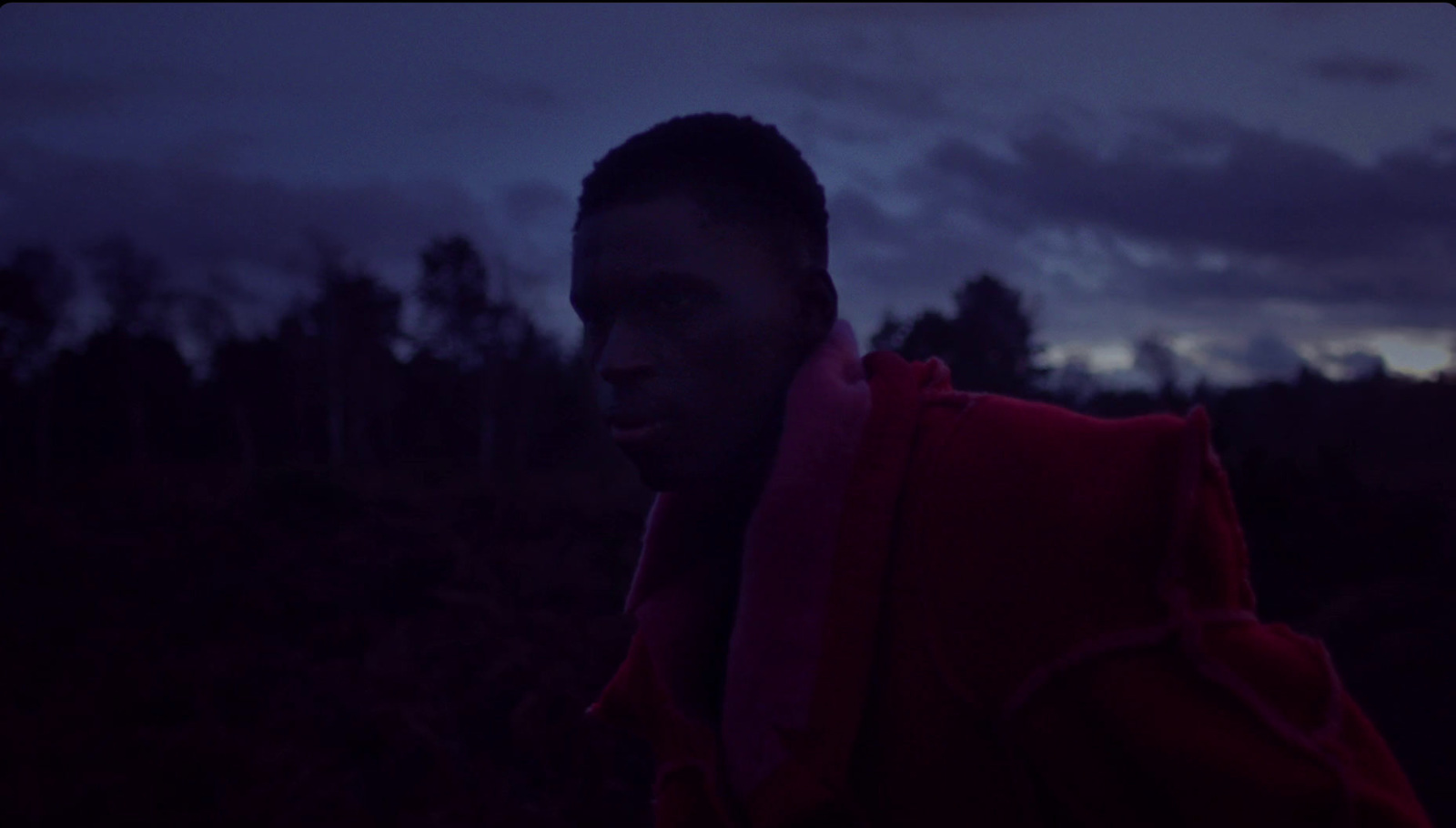 a man in a red jacket standing in a field