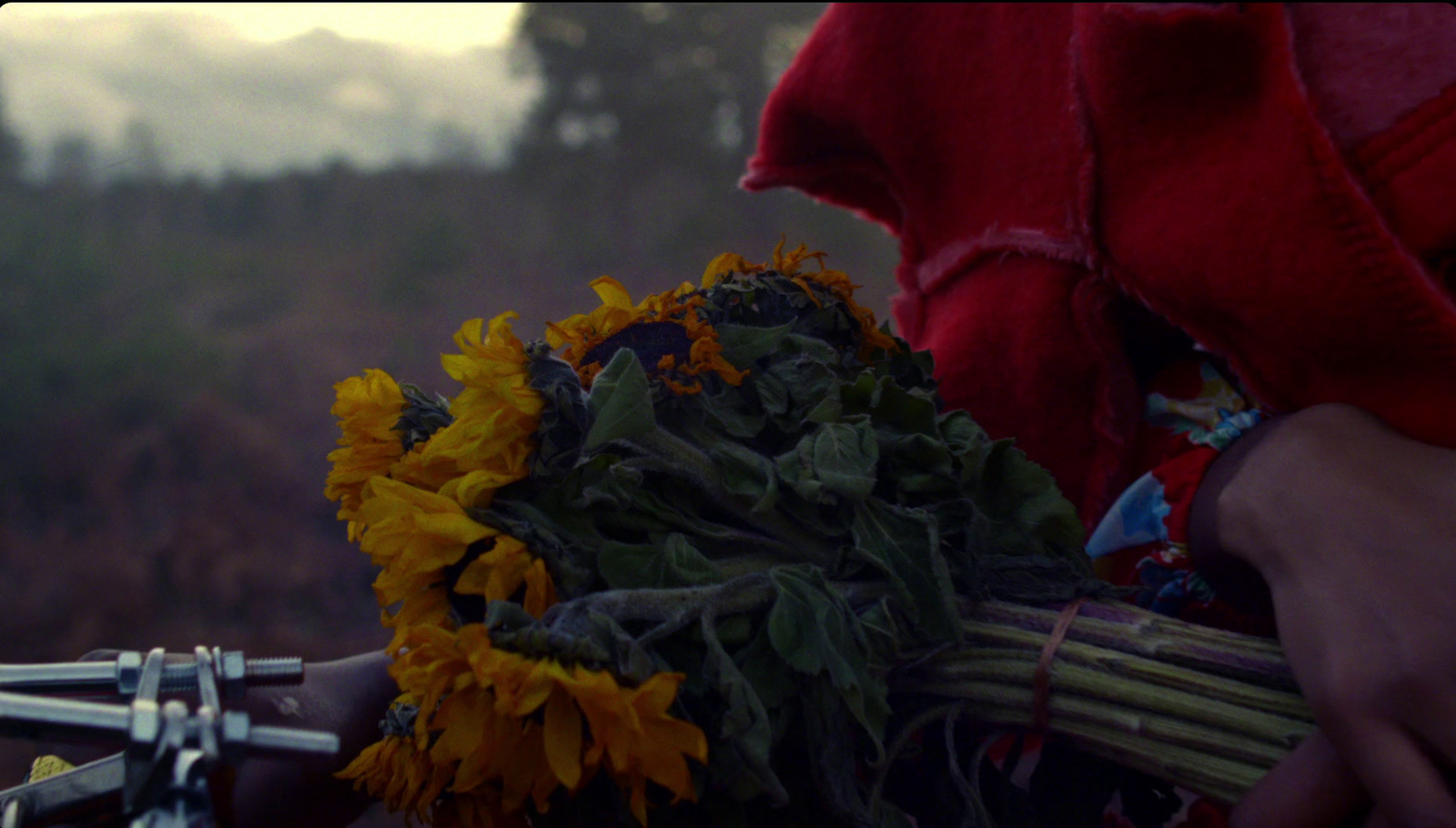 a close up of a person holding a bouquet of sunflowers