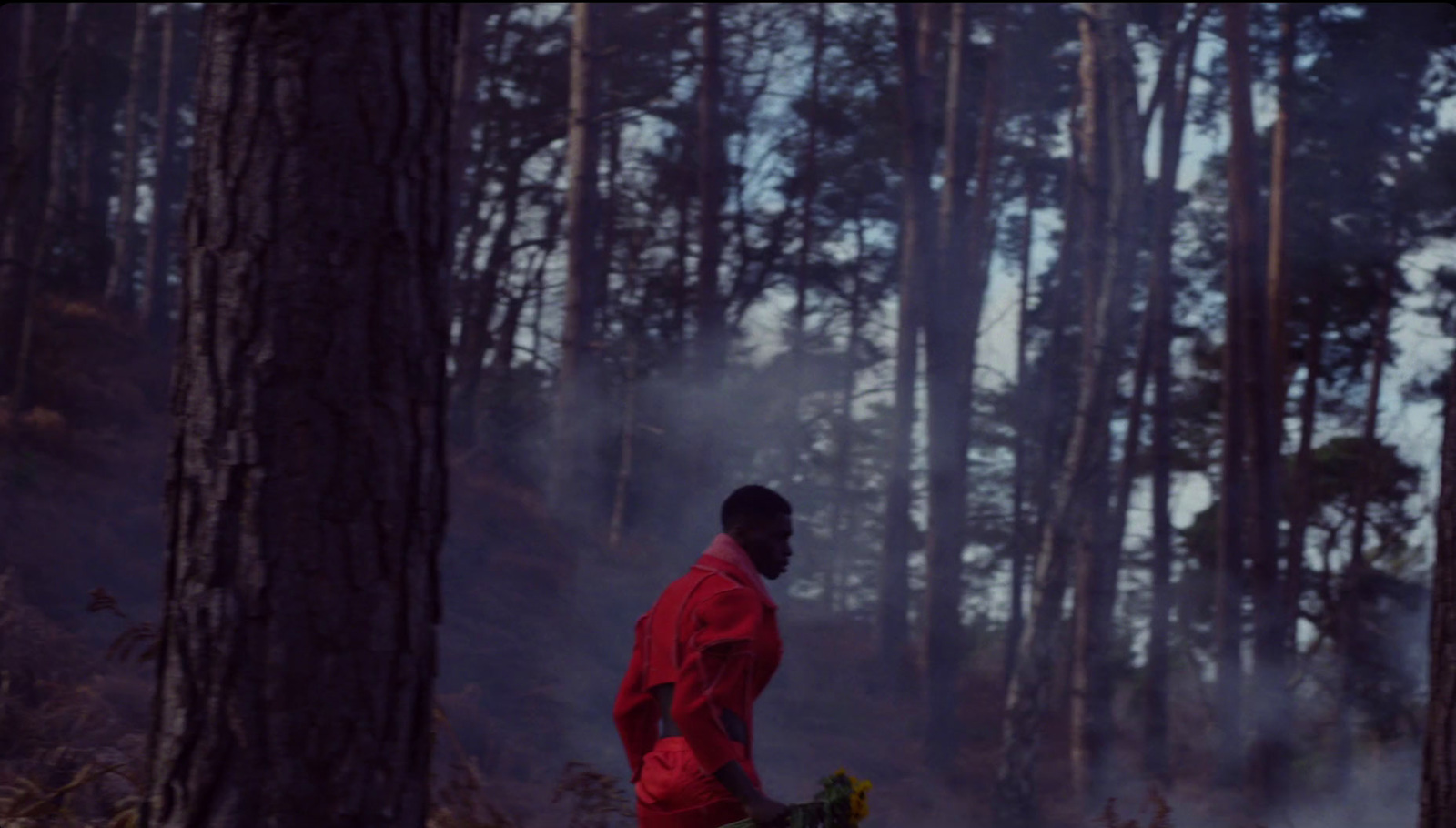 a man in a red jacket standing in a forest