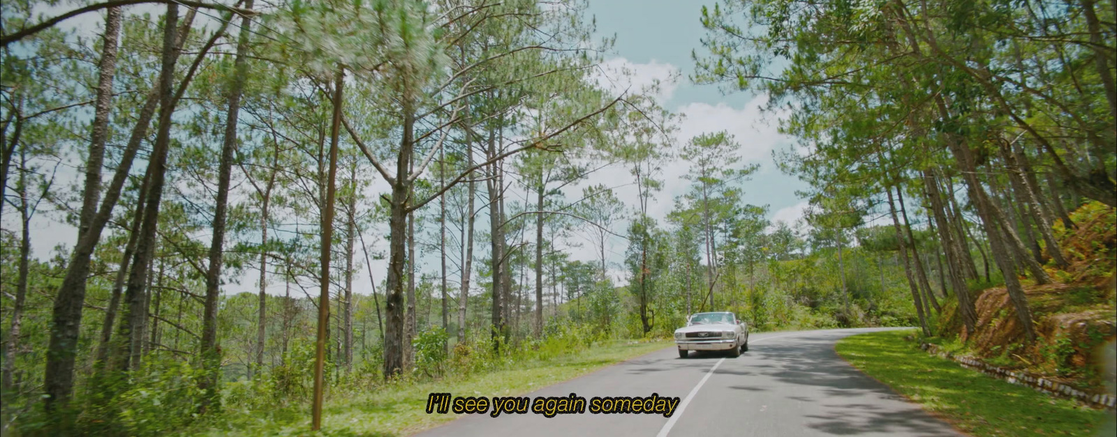 a car driving down a road in the woods