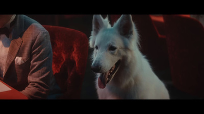 a white dog sitting next to a man in a suit