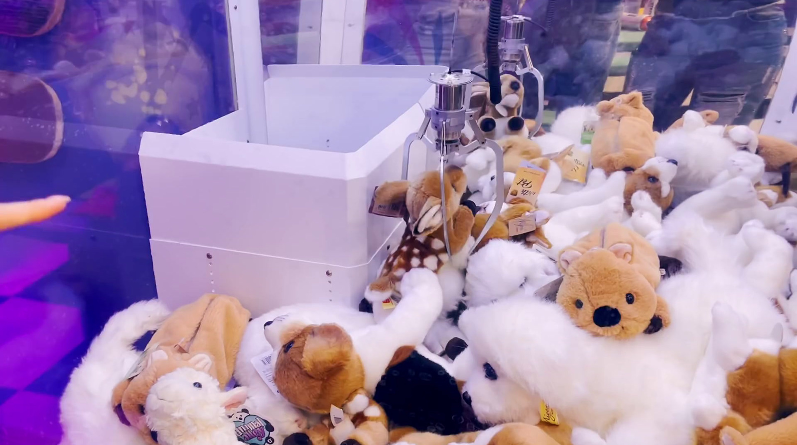 a bunch of stuffed animals are on display