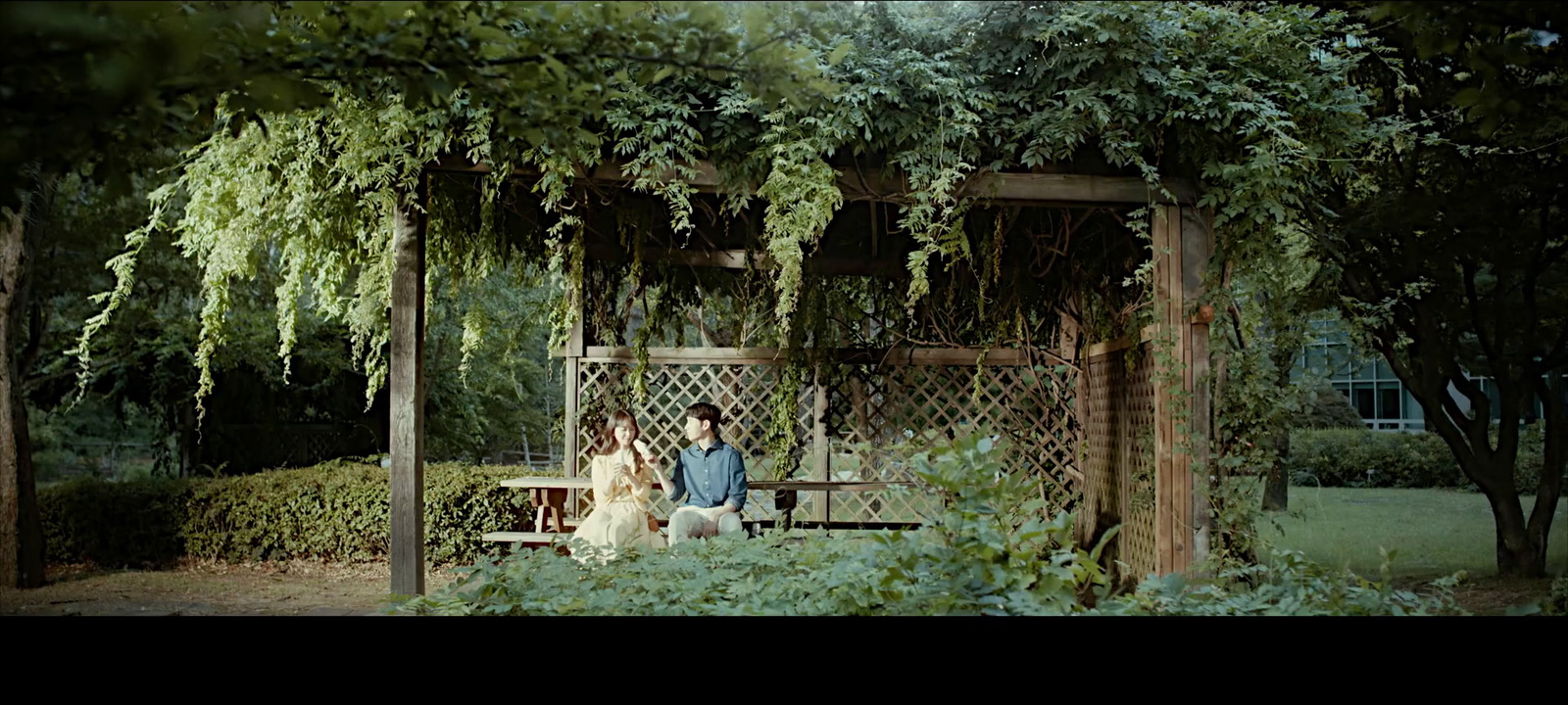 a couple of people sitting on a bench under a tree