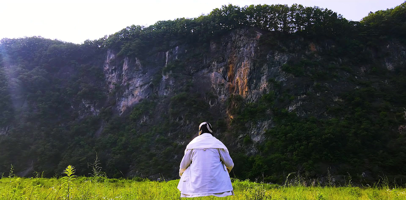 a person standing in a field with a mountain in the background