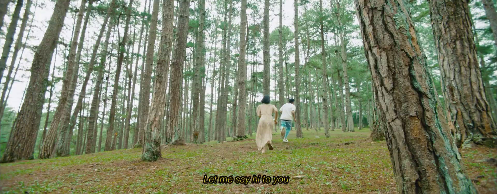 two people are walking through the woods together