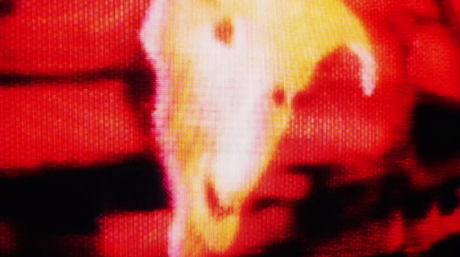 a blurry image of an elephant's head on a television screen