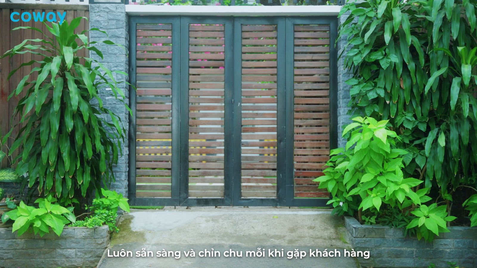 a gate that has a bunch of plants in it