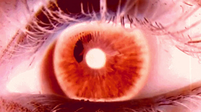 a close up of a person's brown eye