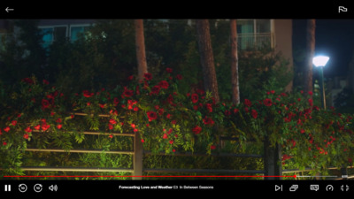 a fence with flowers growing on it and a street light in the background