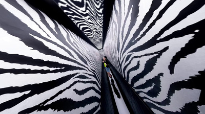 a man is standing in the middle of a zebra print tunnel