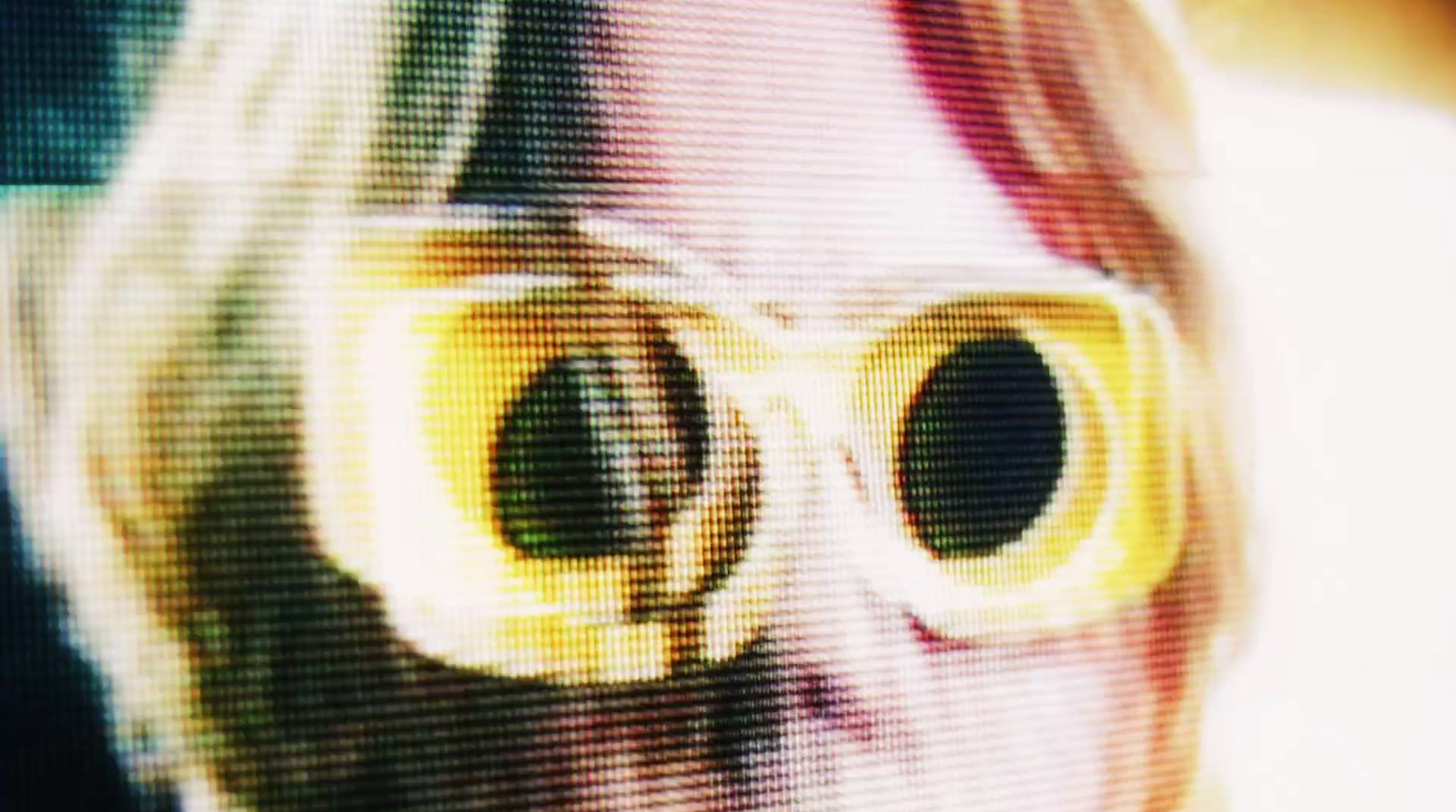 a close up of a cat's face with yellow glasses