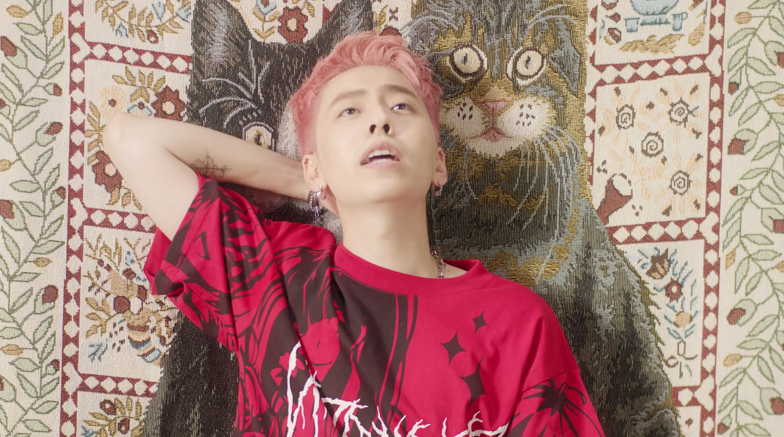 a person with pink hair and a cat behind him