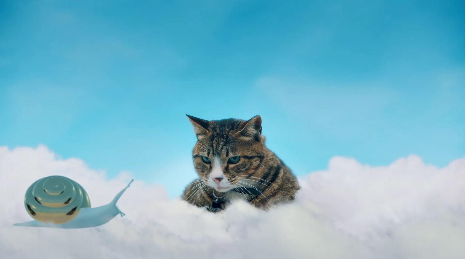 a cat sitting on top of a cloud next to a snail