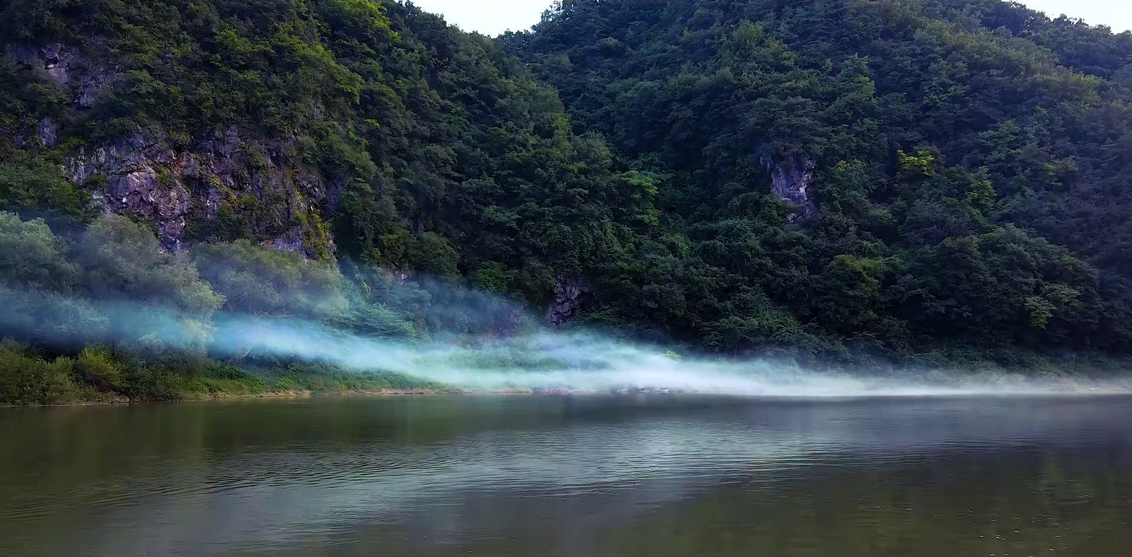 a body of water surrounded by a forest