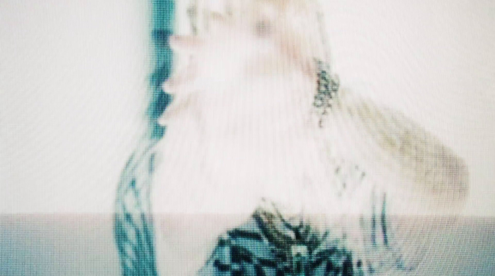 a blurry photo of a woman's face and neck