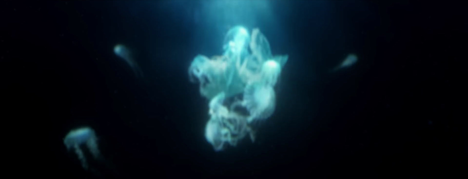 a blurry image of a person floating in the water