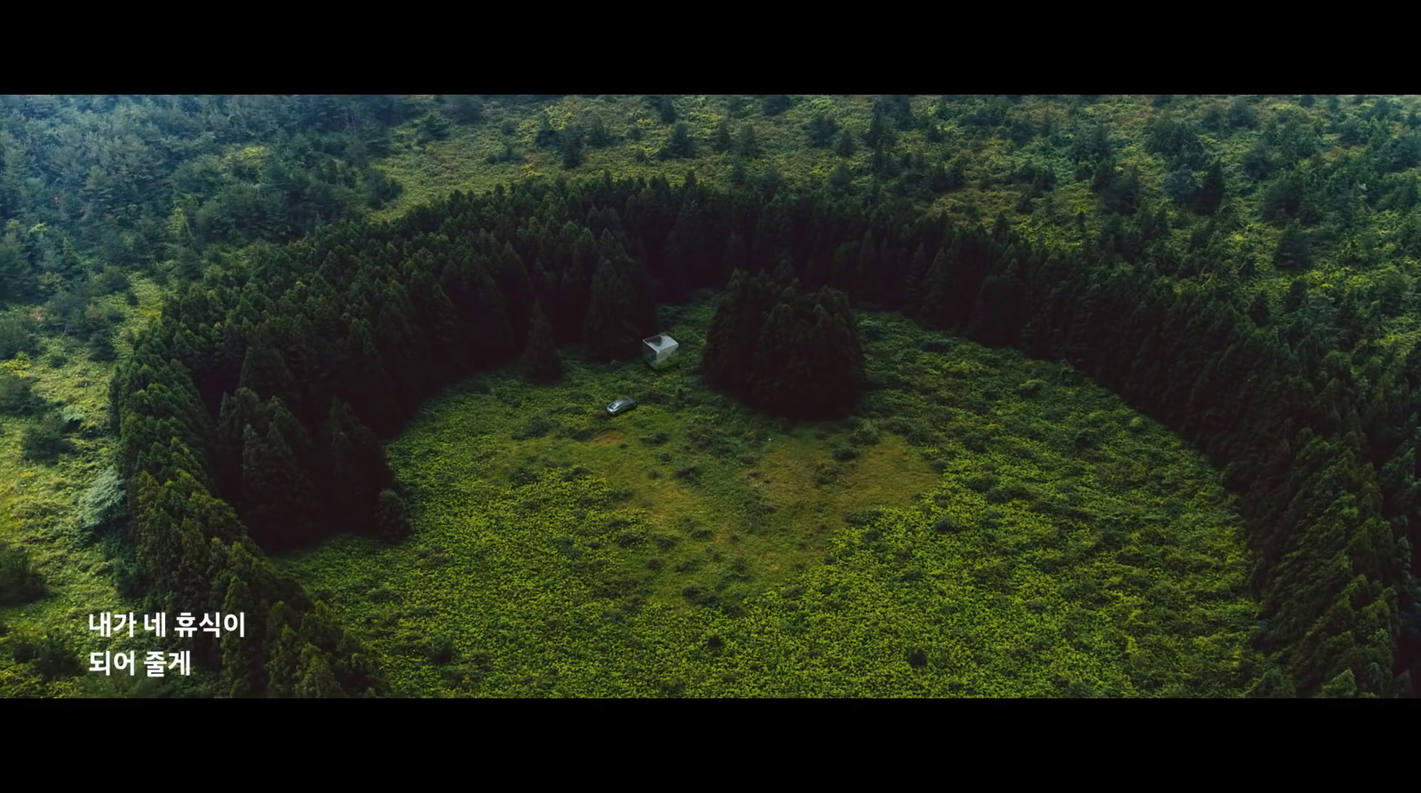 an aerial view of a lush green forest