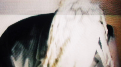 a blurry photo of a person with long hair