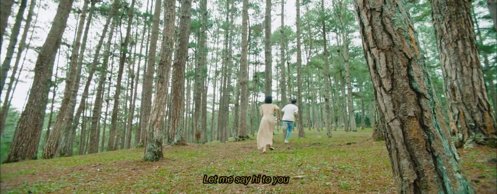 a couple walking through a forest holding hands