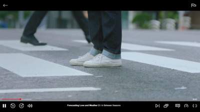 a person standing in the middle of a cross walk