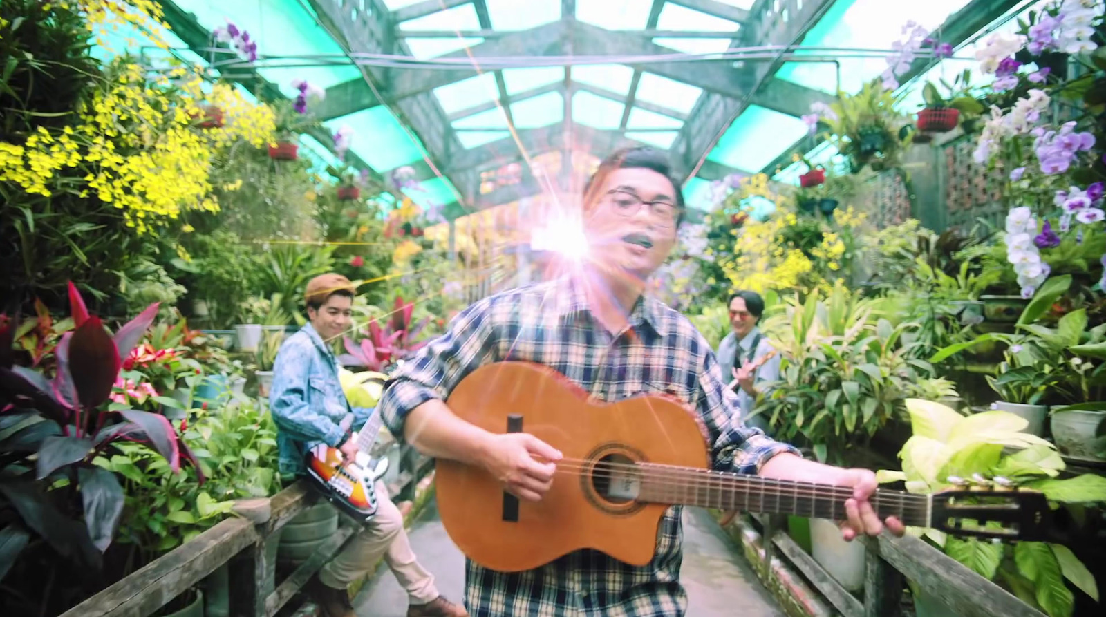 a man holding a guitar in a greenhouse