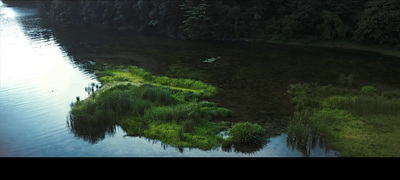 a body of water surrounded by trees and grass