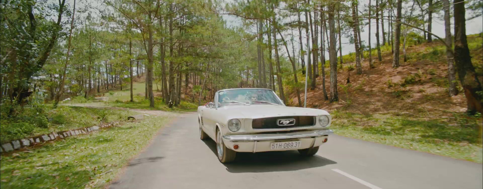 a white car driving down a road next to a forest