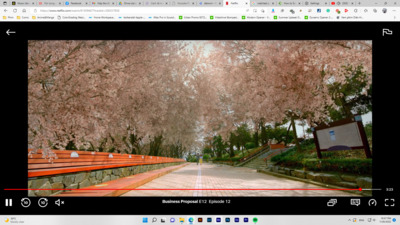 a picture of a park with benches and trees