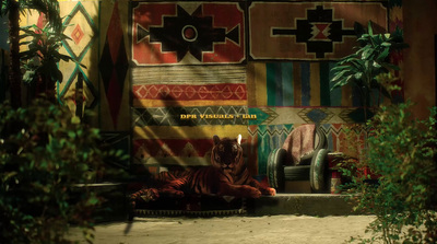 a tiger sitting on the ground in front of a wall
