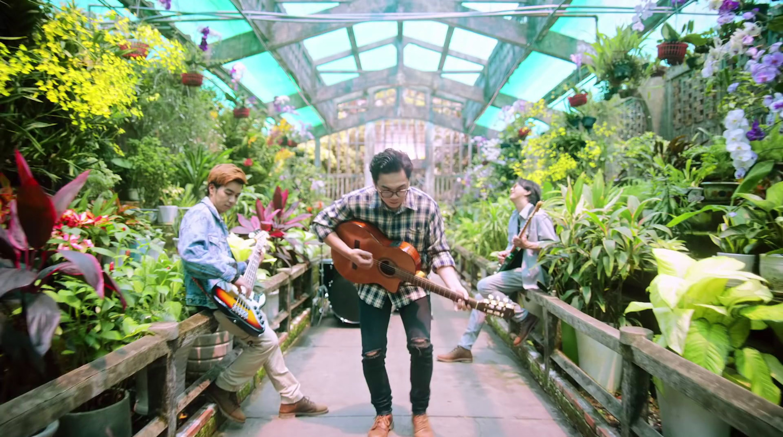 a man playing a guitar in a greenhouse