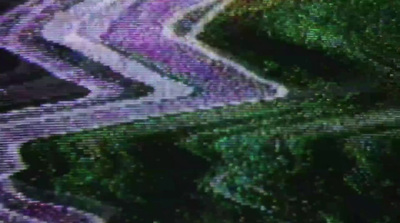 a picture of a curved road with grass and flowers