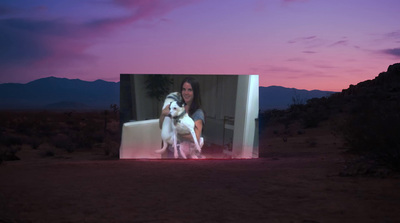 a woman holding a dog in front of a picture of a sunset