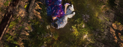 an aerial view of a woman laying in the grass