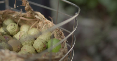 a basket filled with lots of green fruit