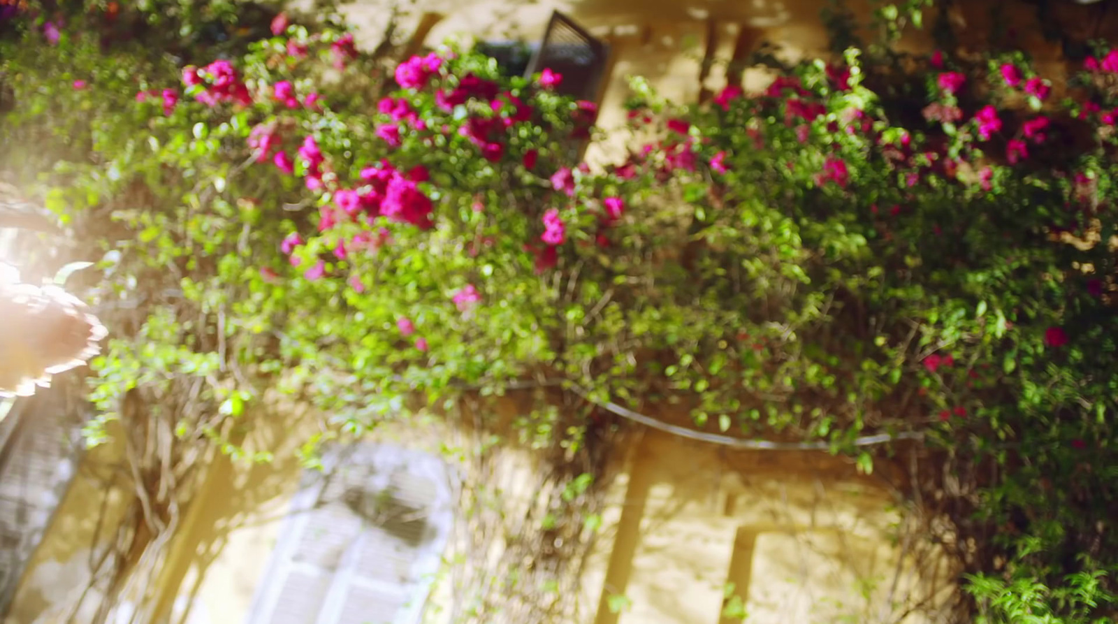 a person standing in front of a building with pink flowers